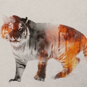 Meet your Posher, Chantal